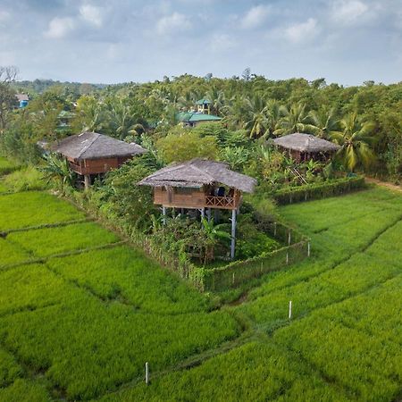 The Hideout Sigiriya Villa Ngoại thất bức ảnh