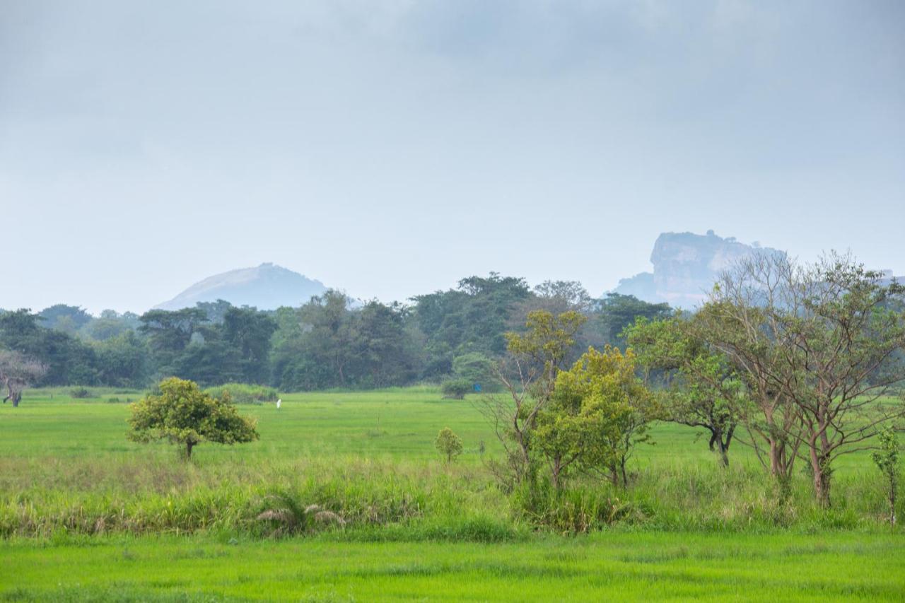 The Hideout Sigiriya Villa Ngoại thất bức ảnh