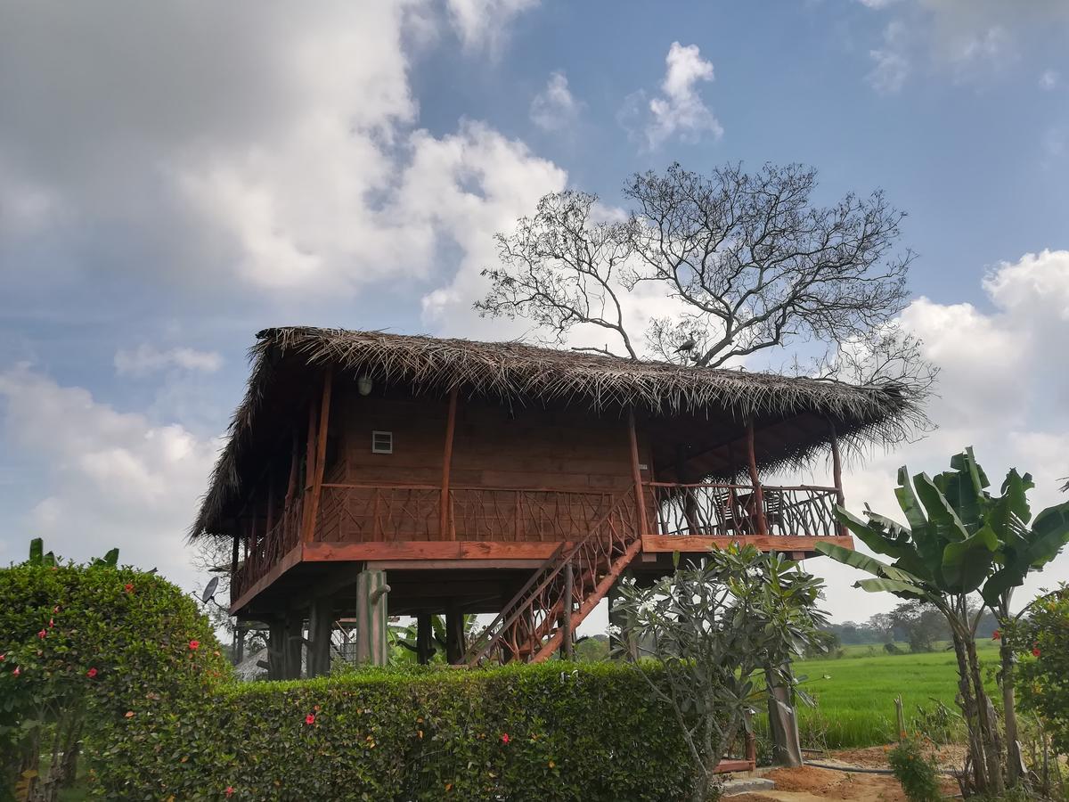 The Hideout Sigiriya Villa Ngoại thất bức ảnh