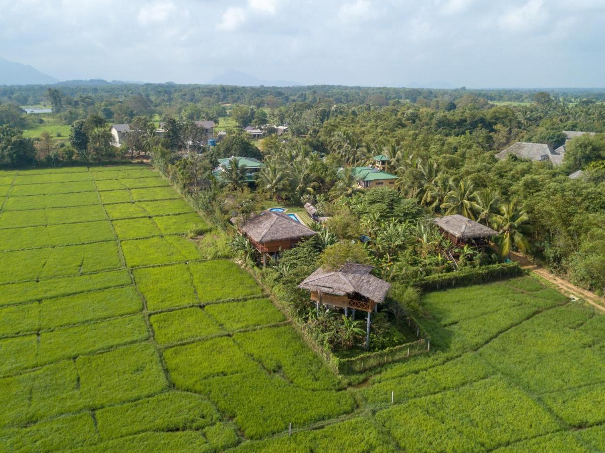 The Hideout Sigiriya Villa Ngoại thất bức ảnh